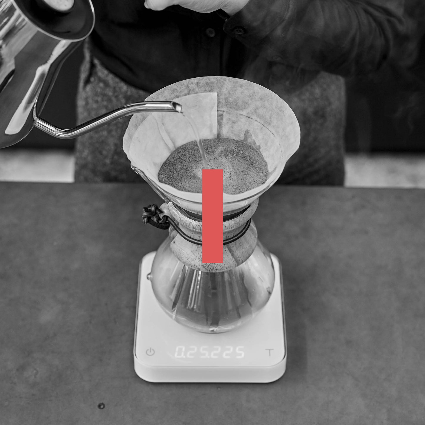 Soft Brew Fundamentals — 2 HOURS