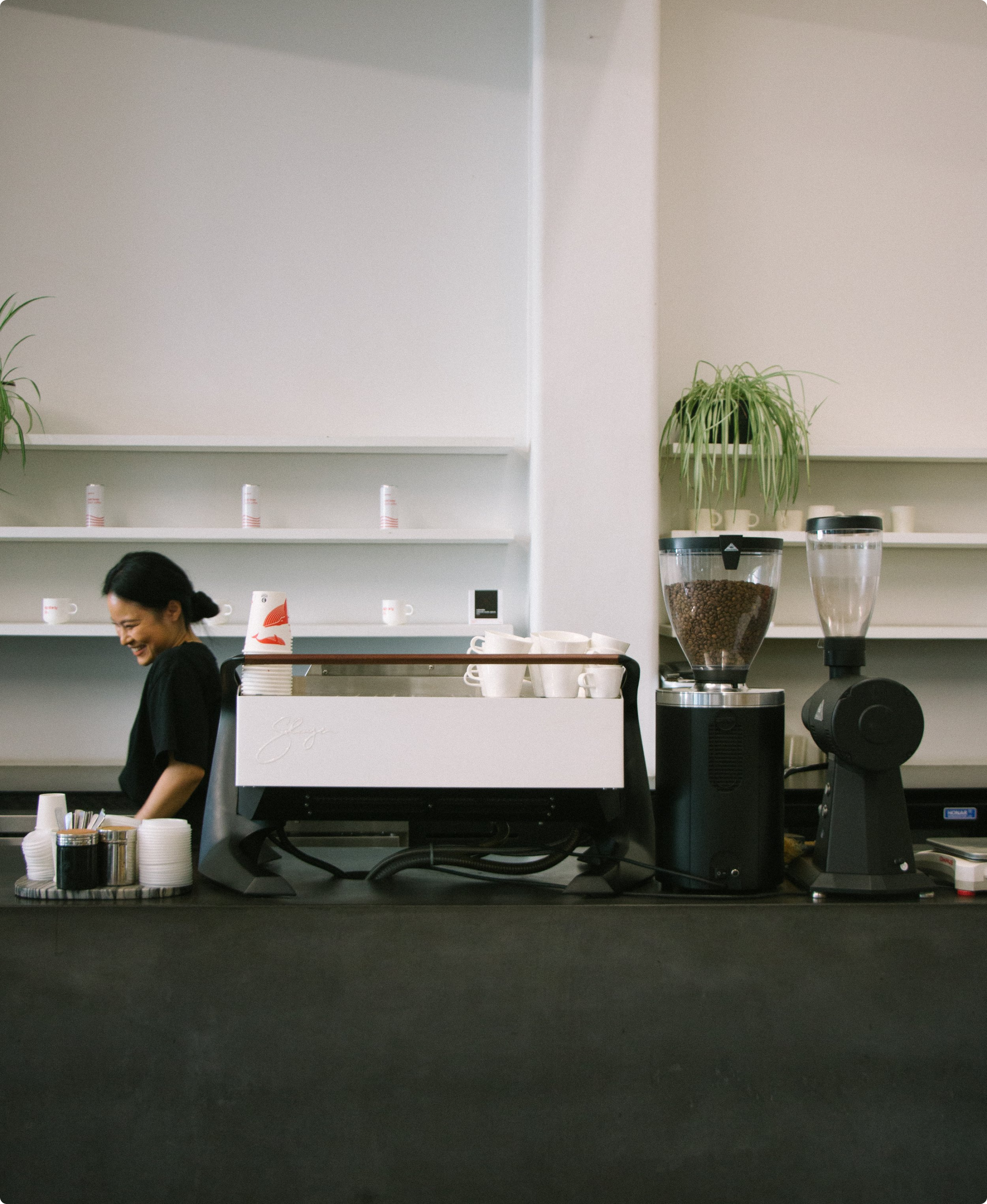 Christmas/New Years Shipping and delivery update