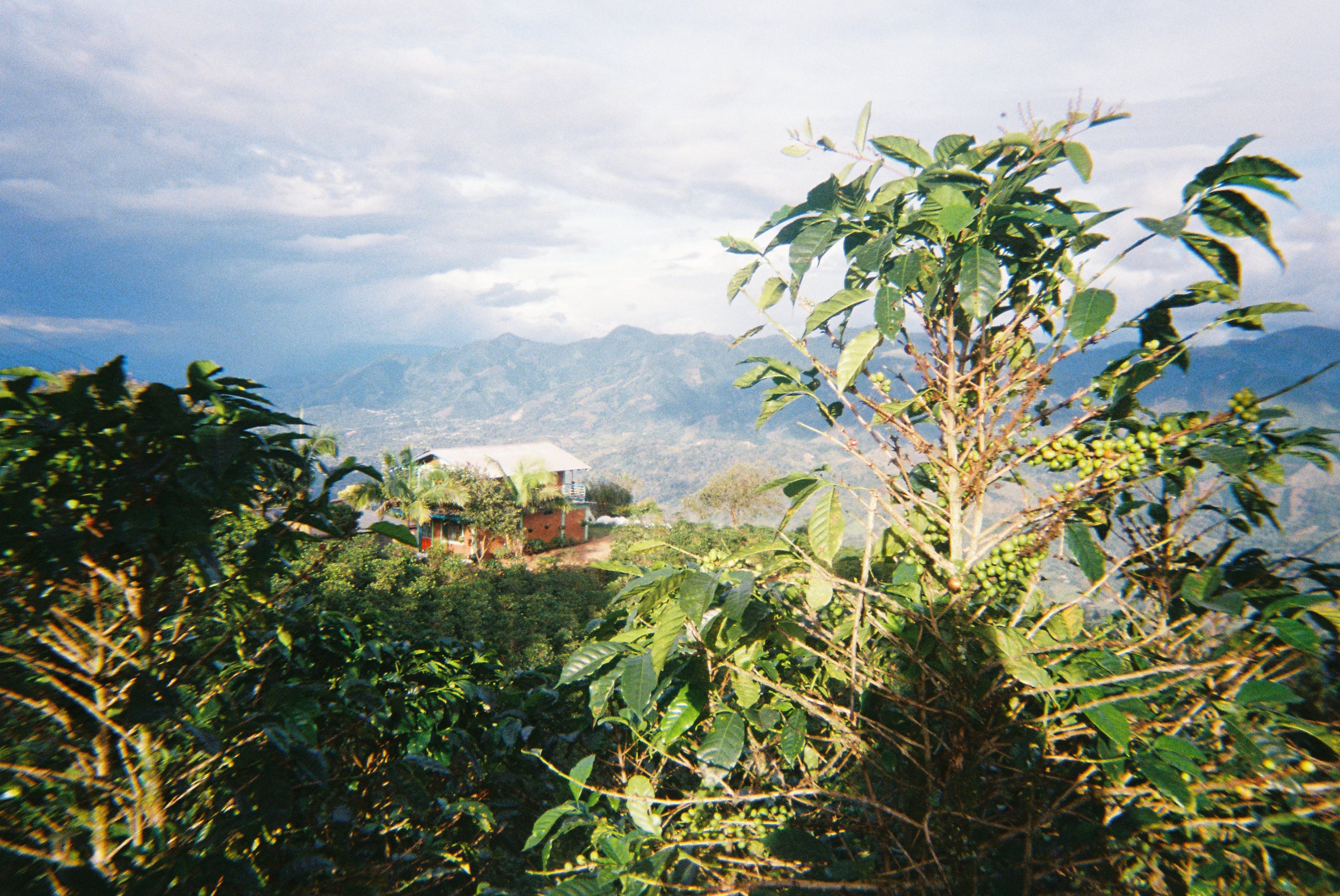 eighthirty presents: Coffee of Colombia – A Conversation with Cata Export