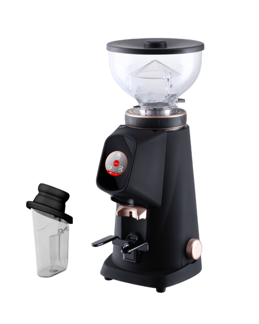 Fiorenzato Allground Coffee Grinder