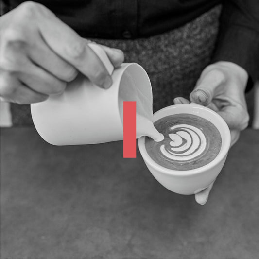 Job Seekers Barista Course —  Full Day